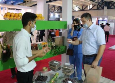 معرفی توانمندی های کشاورزی جنوب کرمان در نمایشگاه بین المللی اوراسیا