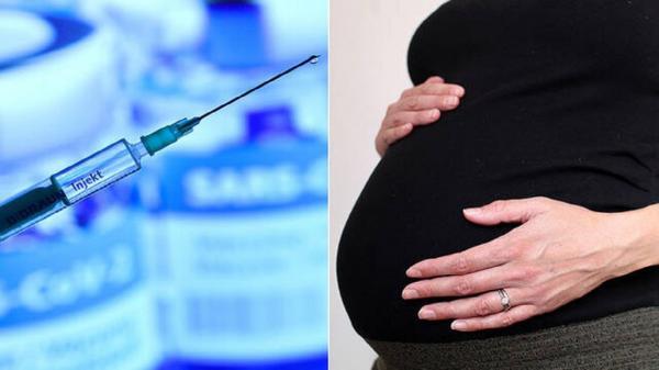سه ماهگی بهترین زمان برای تزریق واکسن در مادران باردار