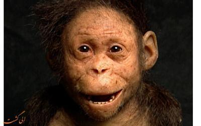 کشف فسیل دختربچه 3.3 میلیون ساله که قدیمی ترین جد بشر امروزی است!