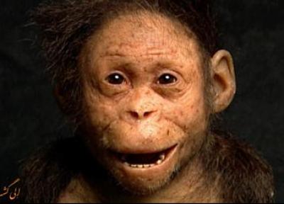 کشف فسیل دختربچه 3.3 میلیون ساله که قدیمی ترین جد بشر امروزی است!