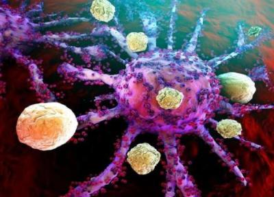 ویروس هایی که باعث سرطان و سرکوب سیستم ایمنی می شوند